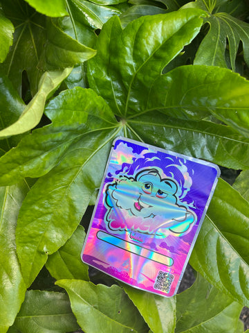Holographic itSmellz Exclusive Smell Proof bags